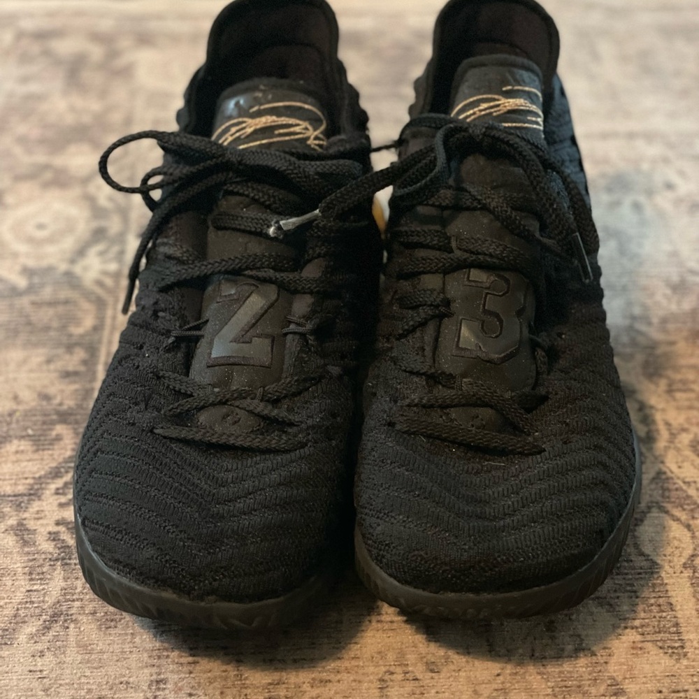 Nike LeBron 15 basketball shoes